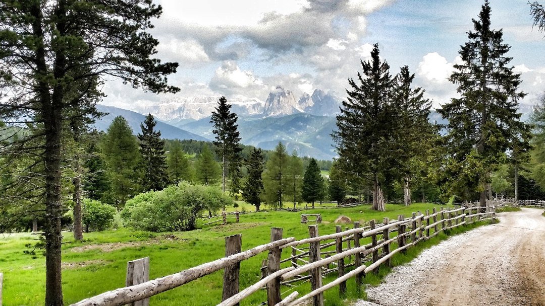 Panoramic view of the Alpe di Villandro (Villanderer Alm) with traditional huts and the Odle peaks in the background, one of the easy "Plan B" walks.
