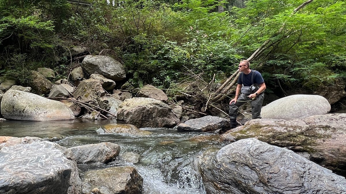 A pristine alpine river in the Dolomites, the destination for a unique day trip from Venice for fly fishing.